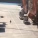 Παραλίγο νέα τραγωδία στο λιμάνι του Πειραιά – Πώς εργάτης απέφυγε δύο κοντέινερ (βίντεο)