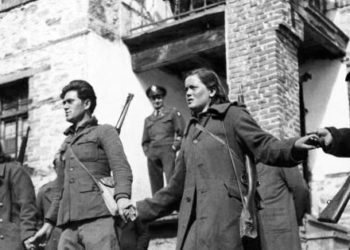 Οι «αποκαλύψεις» του Ρατσένκο  και η αλήθεια για τον ΔΣΕ