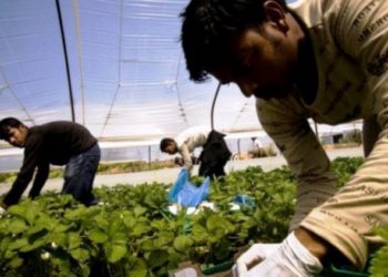 Η κυβέρνηση στήνει παντού νόμιμες «Μανωλάδες»