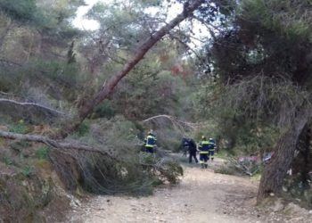 Υμηττός: Περιμένοντας το… ΤΑΙΠΕΔ να καθαρίσει το δάσος!