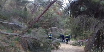 Υμηττός: Περιμένοντας το… ΤΑΙΠΕΔ να καθαρίσει το δάσος!