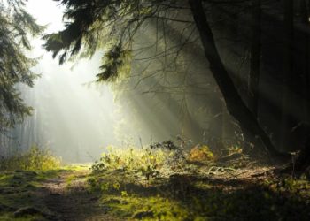 Για το «ανέφικτο» λοιπόν