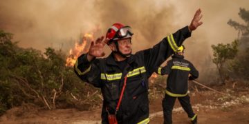 Πυρκαγιές: Εγκατάλειψη και εκμετάλλευση οι «εμπρηστές» των δασών