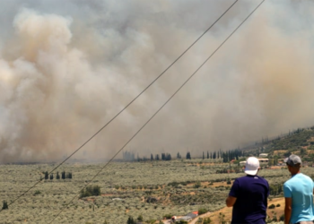 Οι φλόγες στον ελαιώνα της Άμφισσας και σε όλη την Ελλάδα, έκαναν στάχτη τον «πανέτοιμο» μηχανισμό. 