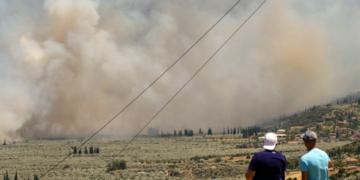 Οι φλόγες στον ελαιώνα της Άμφισσας και σε όλη την Ελλάδα, έκαναν στάχτη τον «πανέτοιμο» μηχανισμό. 