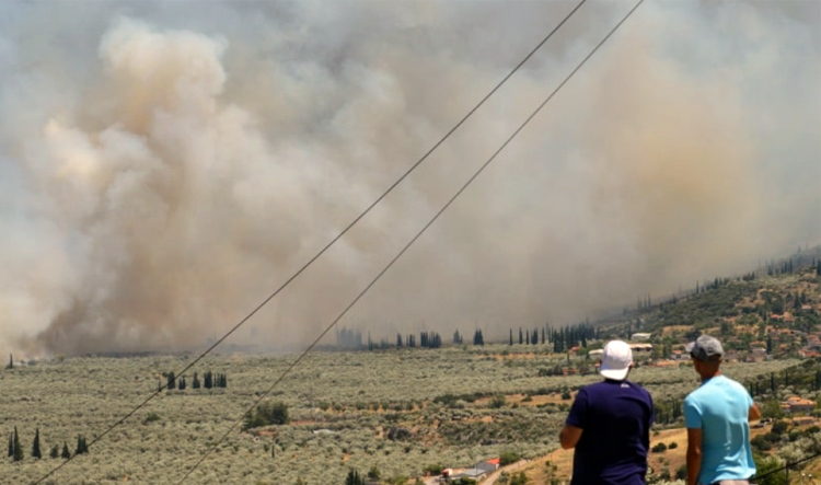 Οι φλόγες στον ελαιώνα της Άμφισσας και σε όλη την Ελλάδα, έκαναν στάχτη τον «πανέτοιμο» μηχανισμό. 