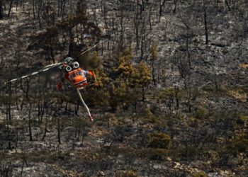 Δάσος Δαδιάς: «Εμπρησμός» από κυβέρνηση και τοπικό κράτος