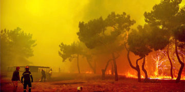 Η κυβερνητική πολιτική έκαψε τα Βατερά