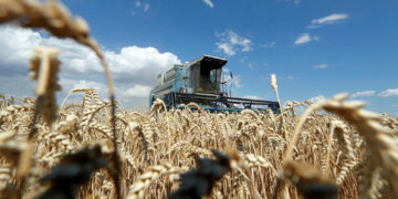 Το σύγχρονο διατροφικό-αγροτικό ζήτημα