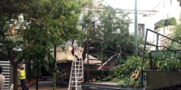 Εξάρχεια: Χημικά κατά των κατοίκων, πριόνια στα δέντρα!