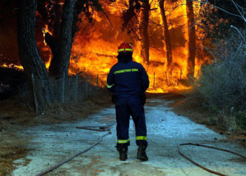 Το προσάναμμα του κέρδους στις δασικές πυρκαγιές