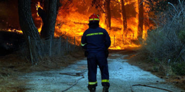 Το προσάναμμα του κέρδους στις δασικές πυρκαγιές