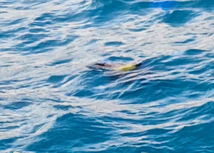 Εθελοντές από Κύθηρα στο ΠΡΙΝ: Αντίβαρο στον «ελλιπή» κρατικό μηχανισμό η αλληλεγγύη  της τοπικής κοινωνίας