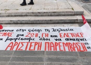 ΑΡΠΗ για δήλωση Σκρέκα: «Καμία σχέση με τις κοινωνικές ανάγκες»