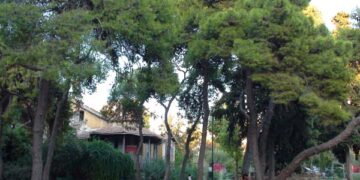 Πάρκο Δρακόπουλου: Συγκέντρωση κατοίκων τη Δευτέρα στο δημαρχείο Αθήνας