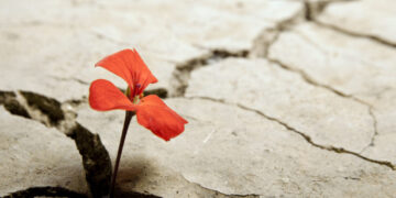 Από τα πέτρινα στα υποδουλωμένα χρόνια