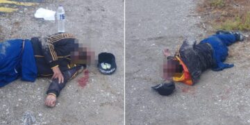 Oι «Μανωλάδες» ζουν και ανθίζουν στη Θεσσαλία