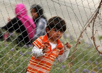 «Εγκλωβισμός» εκπαίδευσης και συμπερίληψης στα κλειστά κέντρα κράτησης