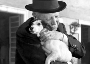 Umberto D. του Βιττόριο ντε Σίκα ξανά στις αίθουσες