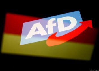 Σημαία Γερμανίας με σήμα AFD