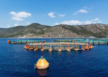 Ανταρσία στο Αιγαίο: Ολόψυχη στήριξη στον αγώνα των κατοίκων του Σκαλοχωρίου ενάντια στις ιχθυοκαλλιέργειες