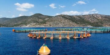 Ανταρσία στο Αιγαίο: Ολόψυχη στήριξη στον αγώνα των κατοίκων του Σκαλοχωρίου ενάντια στις ιχθυοκαλλιέργειες