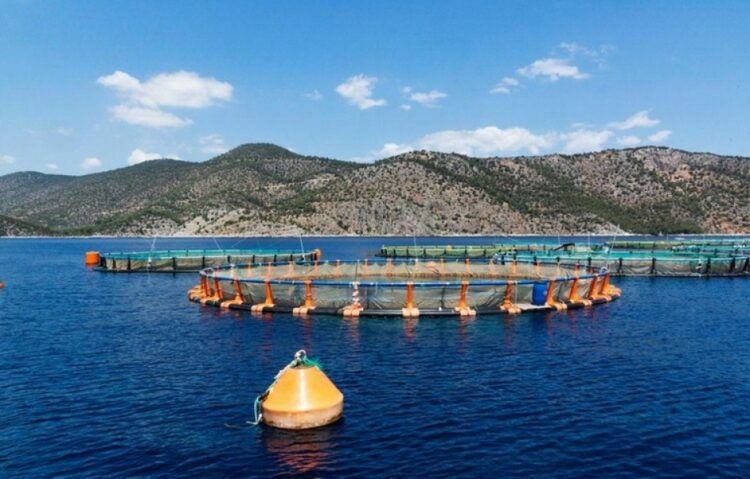 Ανταρσία στο Αιγαίο: Ολόψυχη στήριξη στον αγώνα των κατοίκων του Σκαλοχωρίου ενάντια στις ιχθυοκαλλιέργειες