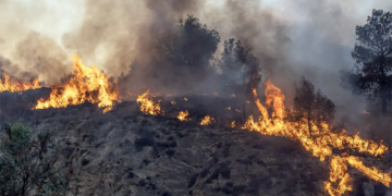 ΑΝΤΑΡΣΥΑ: Υπεράσπιση των δασών, κάτω η πολιτική που «καίει» τη ζωή μας