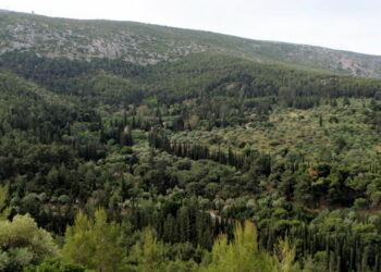 Το δάσος του Υμηττού σε κίνδυνο-Να ακυρωθεί η απόφαση του δημ. συμβουλίου που αποδέχεται ιδιοκτησία του από ιδιώτες