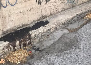Συνελήφθησαν οι 4 δολοφόνοι του Σιράζ Σαφτάρ-Να μην υπάρξει συγκάλυψη-συσκότιση
