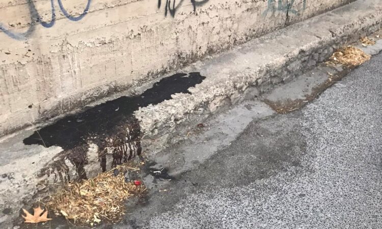 Συνελήφθησαν οι 4 δολοφόνοι του Σιράζ Σαφτάρ-Να μην υπάρξει συγκάλυψη-συσκότιση