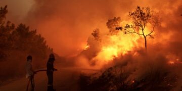 ΑΝΤΑΡΣΥΑ: Κάλεσμα σε συγκέντρωση την Πέμπτη ενάντια στο ρατσιστικό έγκλημα της κυβέρνησης στη Δαδιά