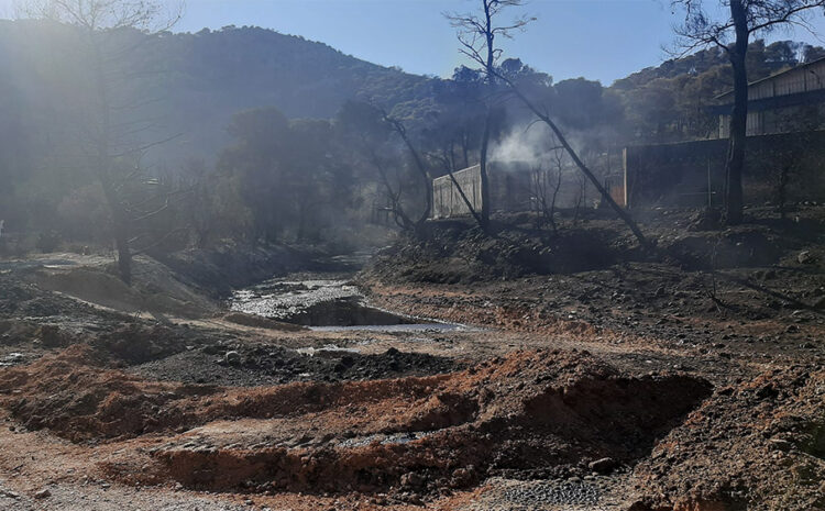 Έγκλημα διαρκείας του κράτους και των εταιρειών ενάντια στο περιβάλλον και τις ανθρώπινες ζωές στο Θριάσιο και τα Δερβενοχώρια