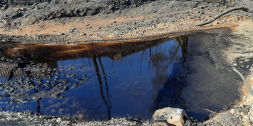 Έγκλημα διαρκείας του κράτους και των εταιρειών ενάντια στο περιβάλλον και τις ανθρώπινες ζωές στο Θριάσιο και τα Δερβενοχώρια