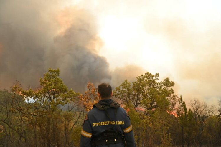 Η Δαδιά είναι μακριά, το Μαξίμου δίπλα
