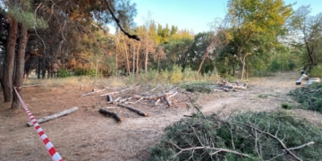 Δήμος και εργολάβοι καταστρέφουν το Άλσος Φυτωρίου στην Αλεξανδρούπολη…