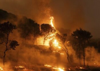 Η Δαδιά είναι μακριά, το Μαξίμου δίπλα