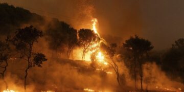 Η Δαδιά είναι μακριά, το Μαξίμου δίπλα