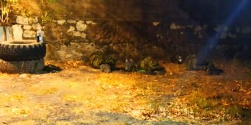 «Χακί» πυροσβέστες στον Έβρο