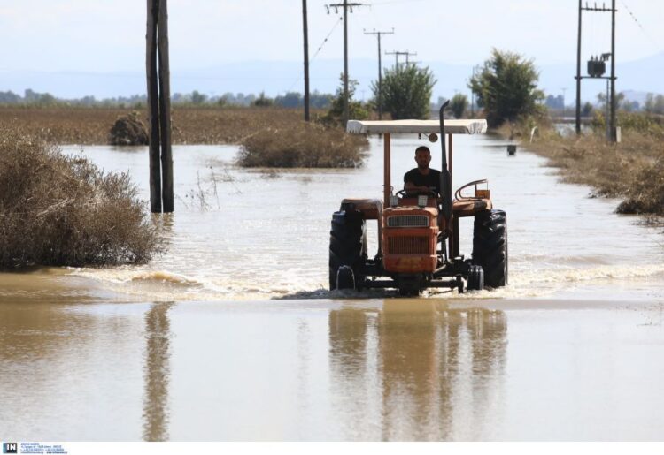 Στήριξη των φτωχομεσαίων αγροτών ενάντια στους νεοτσιφλικάδες του κεφαλαίου