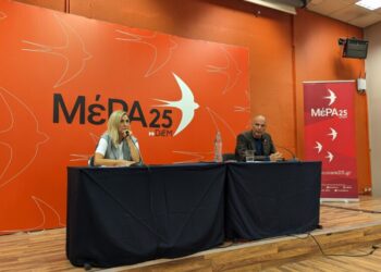 ΜΕΡΑ25: «Περιθώρια συνεργασίας» και με το ΠΑΣΟΚ!