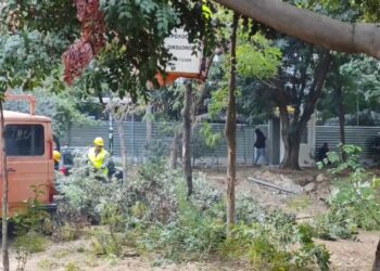 Εξάρχεια: Κόβουν τα δέντρα στην πλατεία για το Μετρό με την αρωγή των ΜΑΤ (βιντεο)