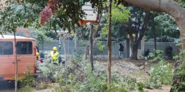 Εξάρχεια: Κόβουν τα δέντρα στην πλατεία για το Μετρό με την αρωγή των ΜΑΤ (βιντεο)