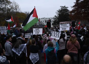 Let’s mobilize all over the world for the victory of the Palestinian struggle. Down with the terrorist state of Israel!