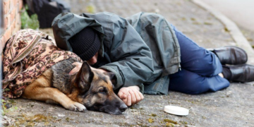 Σκυλίσιες ζωές