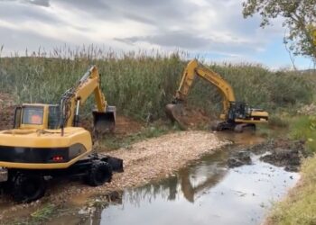 Μεγάλο Ρέμα Ραφήνας: Ξεκίνησε η καταστροφή – Συγκέντρωση το Σάββατο ενάντια στο τσιμέντωμα υγροβιότοπων