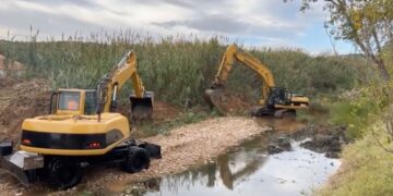 Μεγάλο Ρέμα Ραφήνας: Ξεκίνησε η καταστροφή – Συγκέντρωση το Σάββατο ενάντια στο τσιμέντωμα υγροβιότοπων