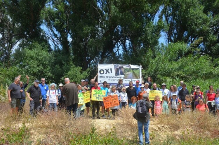 Μεγάλο Ρέμα Ραφήνας: Περιβαλλοντική καταστροφή ενός σπάνιου υδροβιότοπου