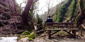 Περιβάλλον: Νομοσχέδιο-σκούπα για νερό, δάση και δόμηση