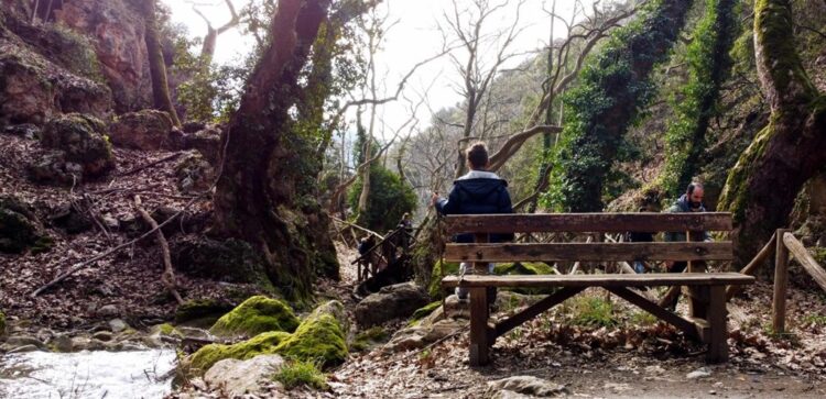 Περιβάλλον: Νομοσχέδιο-σκούπα για νερό, δάση και δόμηση